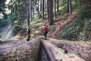 hiram-wald-IMG_1238.jpg